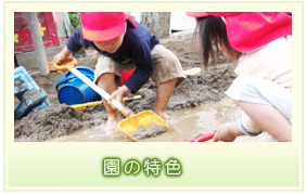 園の特色